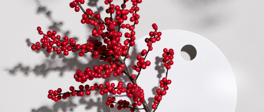Les baies rouges artificielles de Noël sont-elles toxiques pour les chiens et les chats ? - Sunyfar Fleurs Artificielles, Usine en Chine, Fournisseur, Fabricant, Grossiste